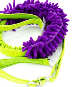 Agileine mit Mopspieli