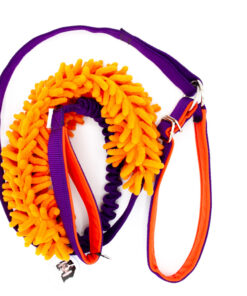 Agileine mit Mopspieli