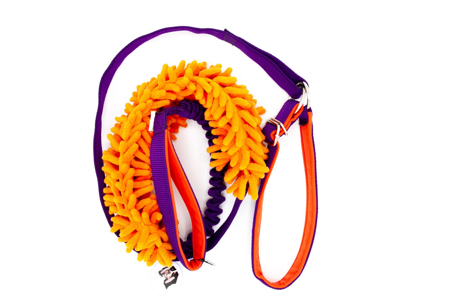 Agileine mit Mopspieli