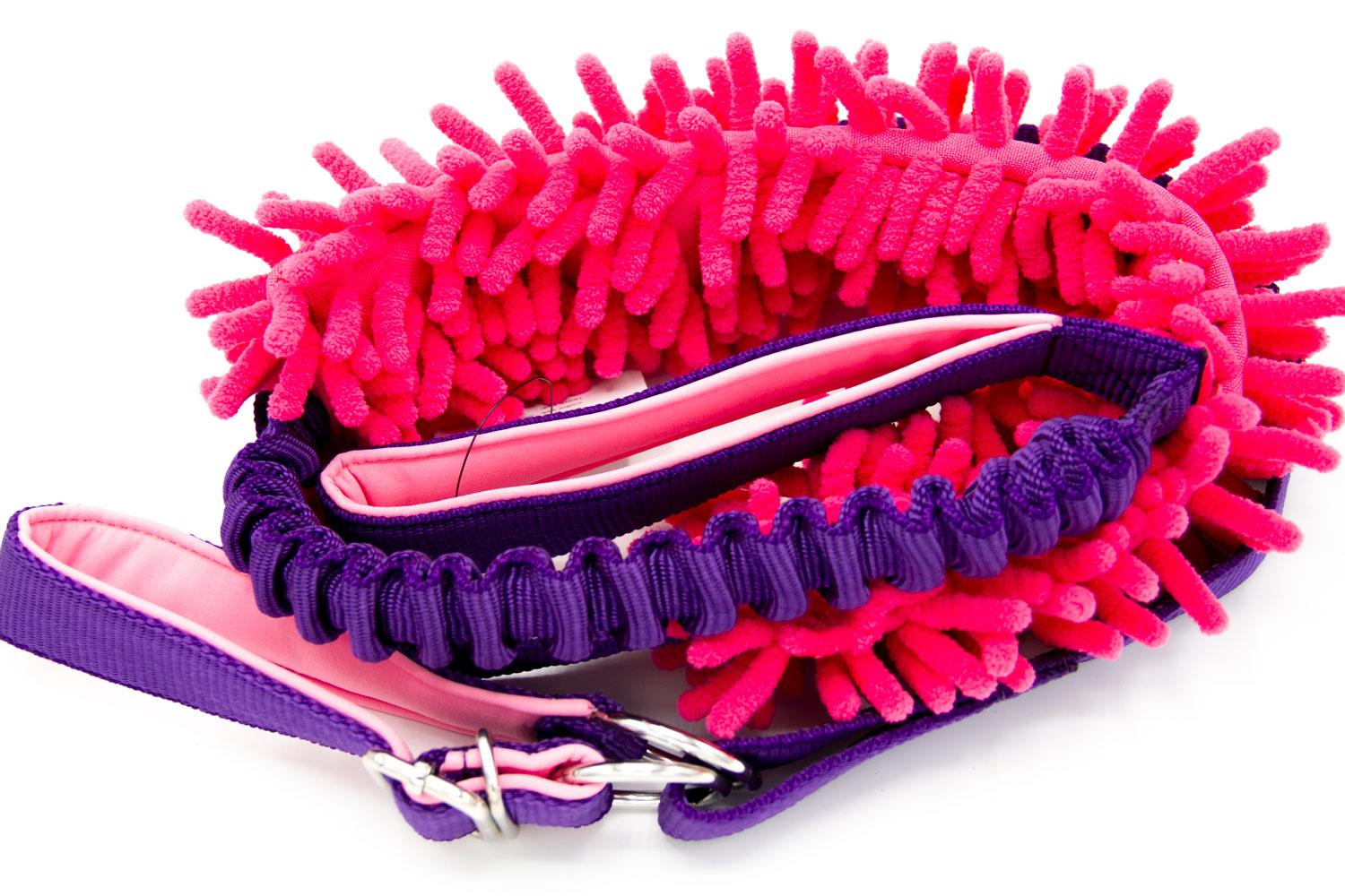 Agileine mit Mopspieli