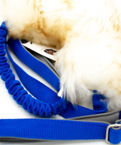 Agileine mit Schaffell