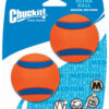 Chuckit Ultra Ball - 2er-Pack