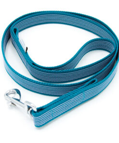 Gummierte Leine | Petrol