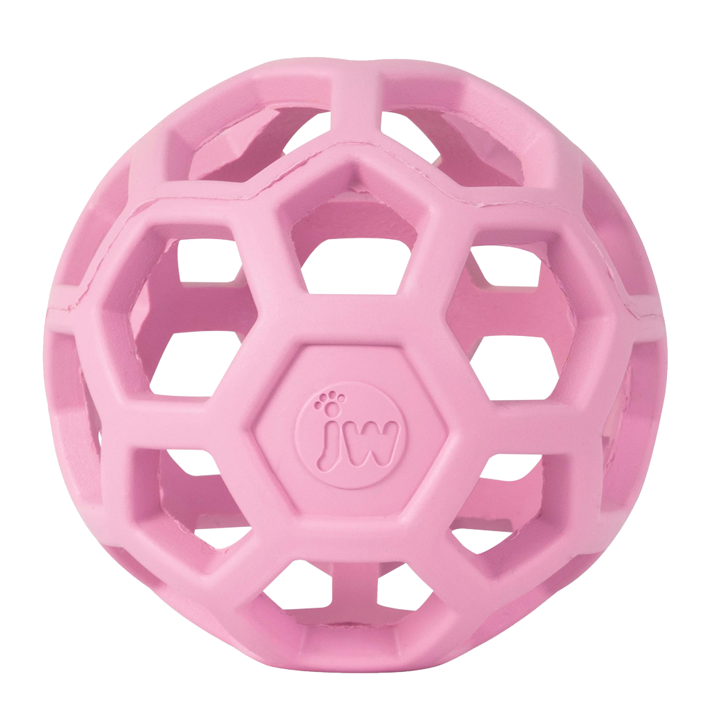 JW Hol-EE Roller Gitterball | Rosa