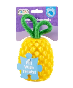 Outward Hound Dental Pineapple