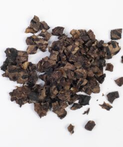 Pferde-Lunge | Trainingshappen