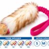 Sheep Bungee ChuckIt Confetti