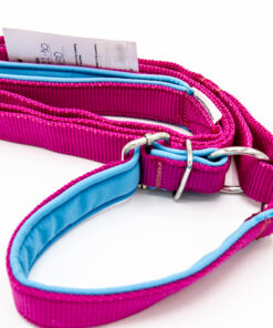 Agility-Leine mit integriertem Zugstopp-Halsband