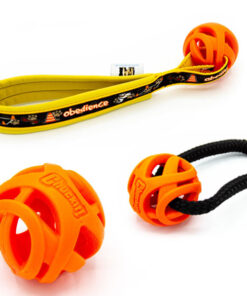 Chuckit Breathe Right Fetch Ball