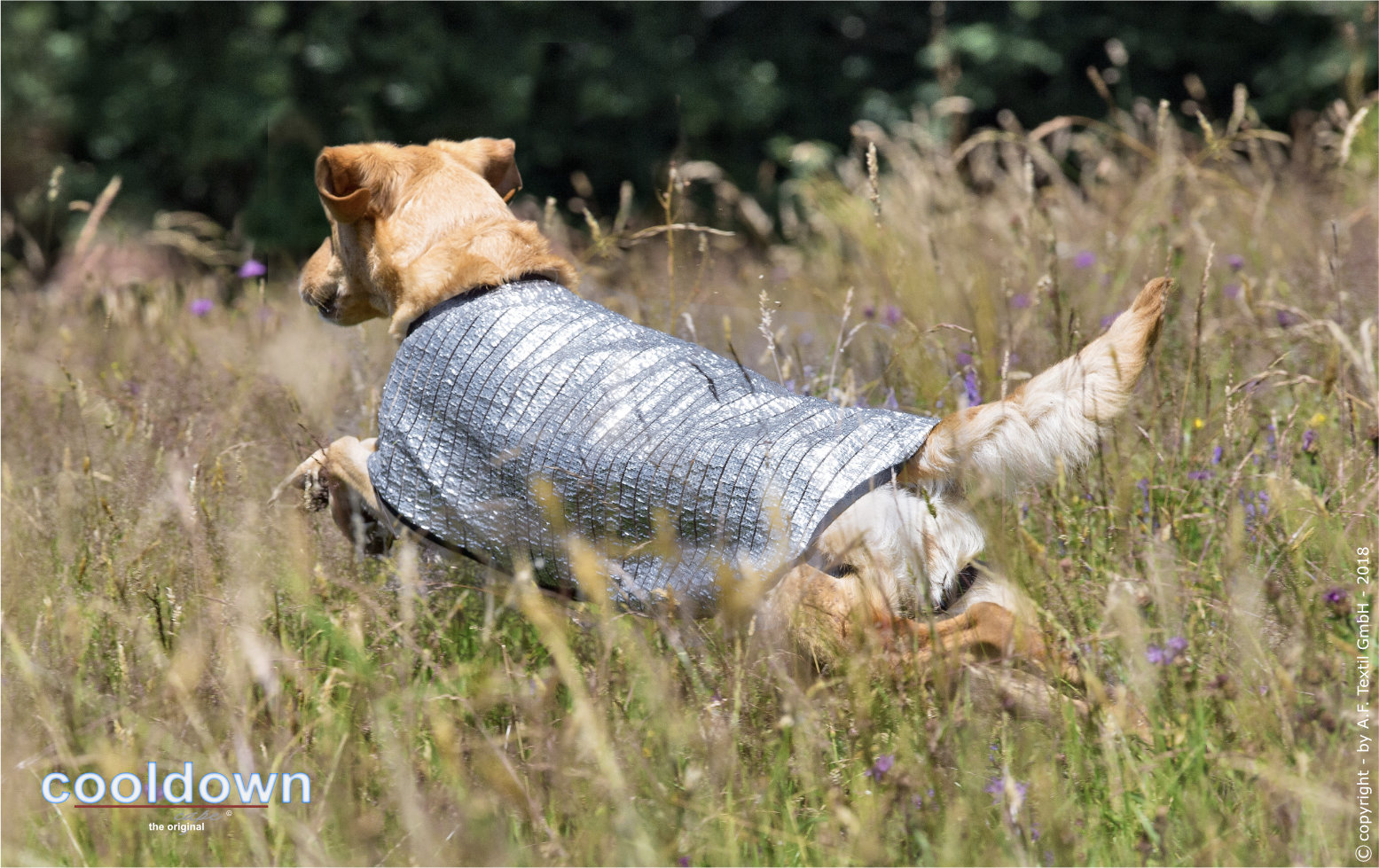 Cooldown Cape – Bild 4