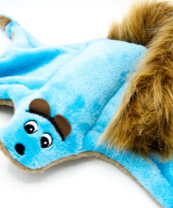 Flughörnchen – Bild 3