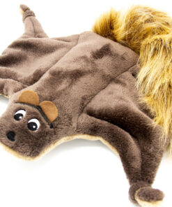 Alternative view of Flughörnchen