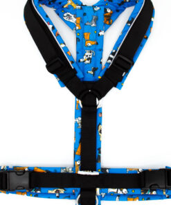 Hundegeschirr Blau|Schwarz