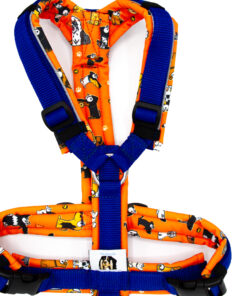 Hundegeschirr Orange | Blau
