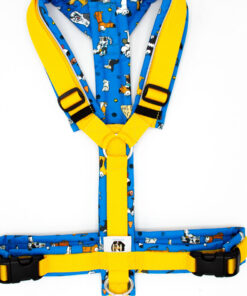 Hundegeschirr Blau|Gelb