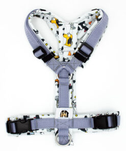 Hundegeschirr Grau|Hellblau