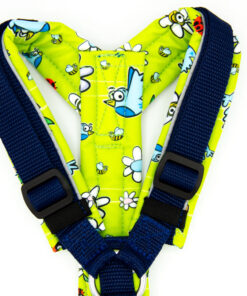 Alternative view of Hundegeschirr "Spring" | Grün, Blau