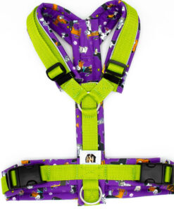 Hundegeschirr Lila|Lime