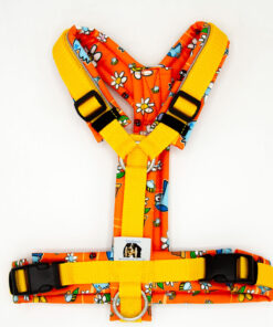 Hundegeschirr "Spring" | Orange, Gelb