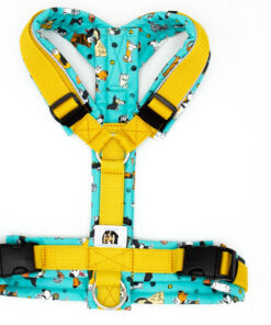 Hundegeschirr Mint|Gelb