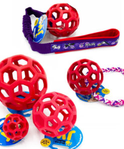 JW Hol-EE Roller Gitterball | Rot