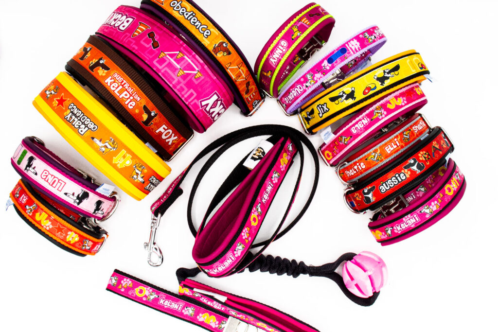 Halsband, Leine, Geschirr