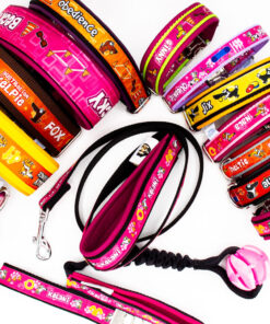 Halsband, Leine, Geschirr