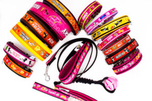 Halsband, Leine, Geschirr