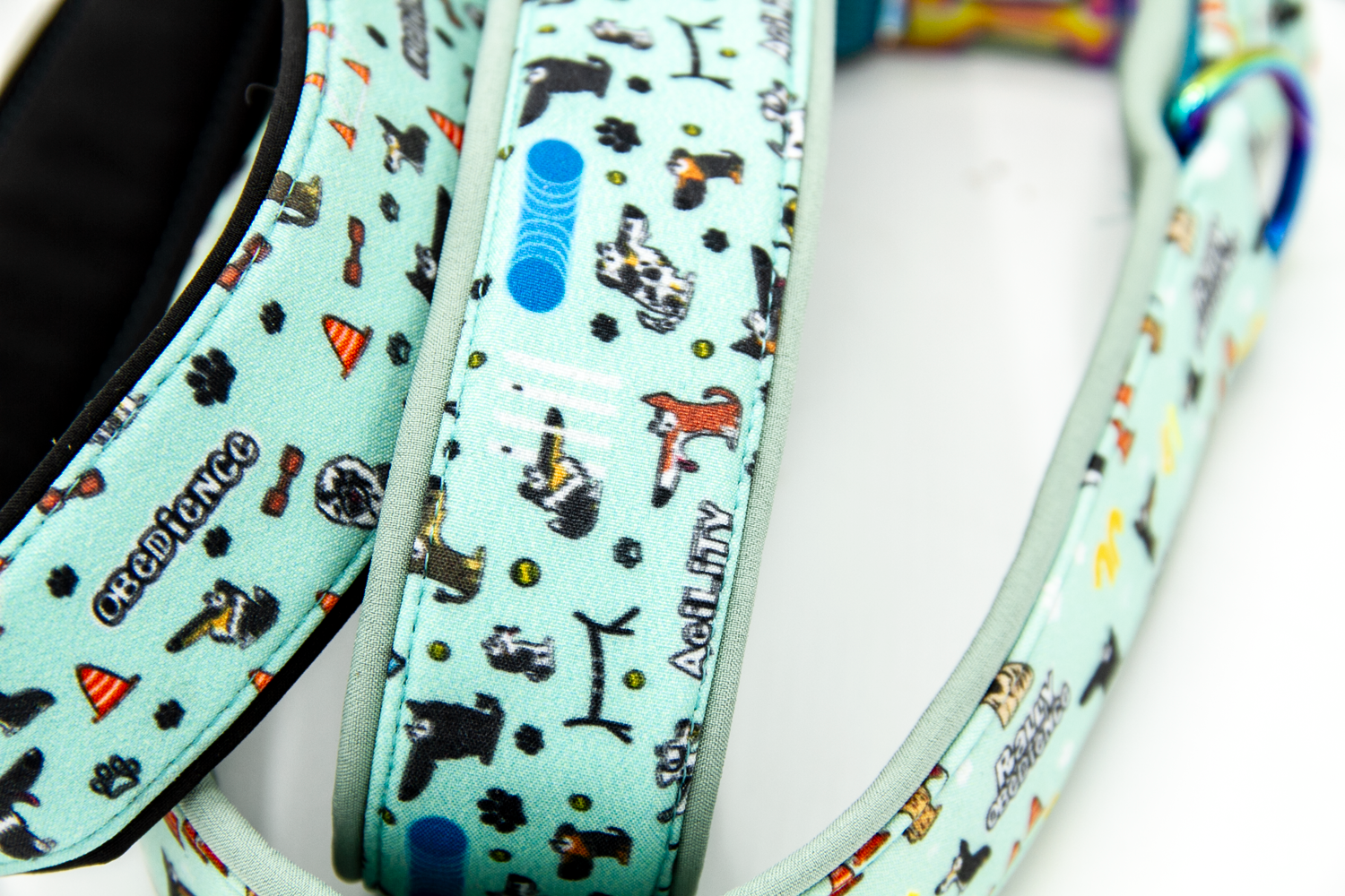 Softshell-Halsband | Hundesport – Bild 4