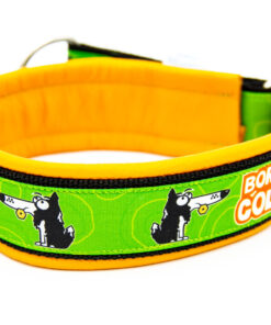 Alternative view of Halsband | Border Collie