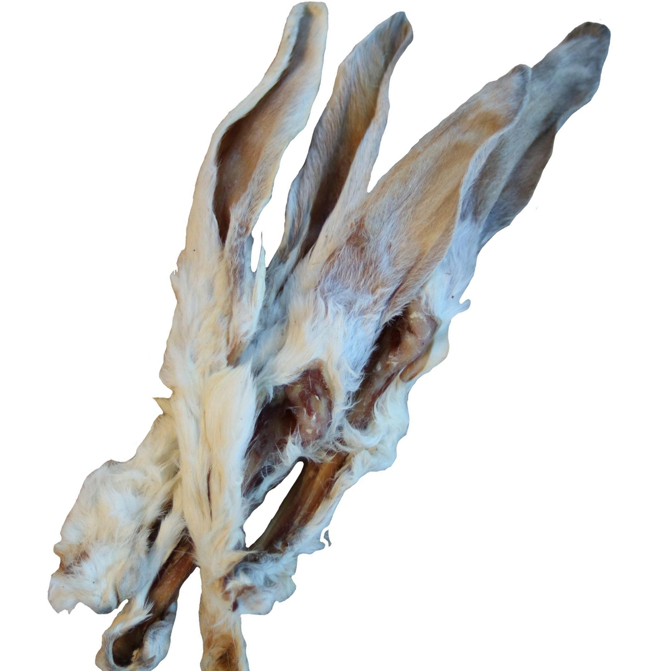 Kaninchen-Ohren mit Fell