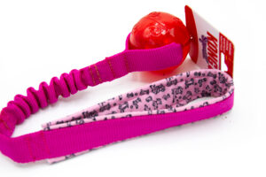 KONG Squeezz Ball mit Bungee