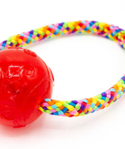 Alternative view of KONG Squeezz Ball