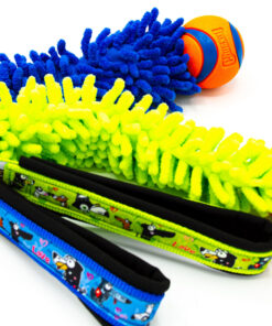 Mop mit Chuckit Ultra Ball | Valentin