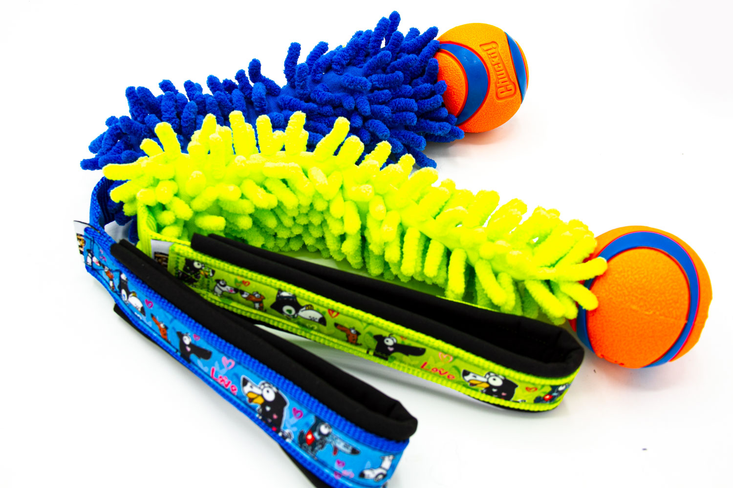 Mop mit Chuckit Ultra Ball | Valentin