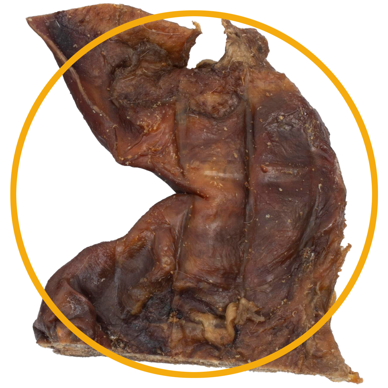 Pferde-Nasen Platten