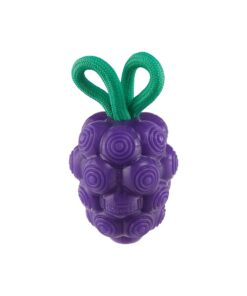 Planet Dog Dental Grapes purple