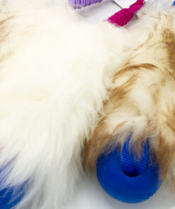 Sheep Bungee Chuckit Crunch