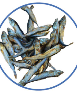 Sprotten | ca. 5-6 cm