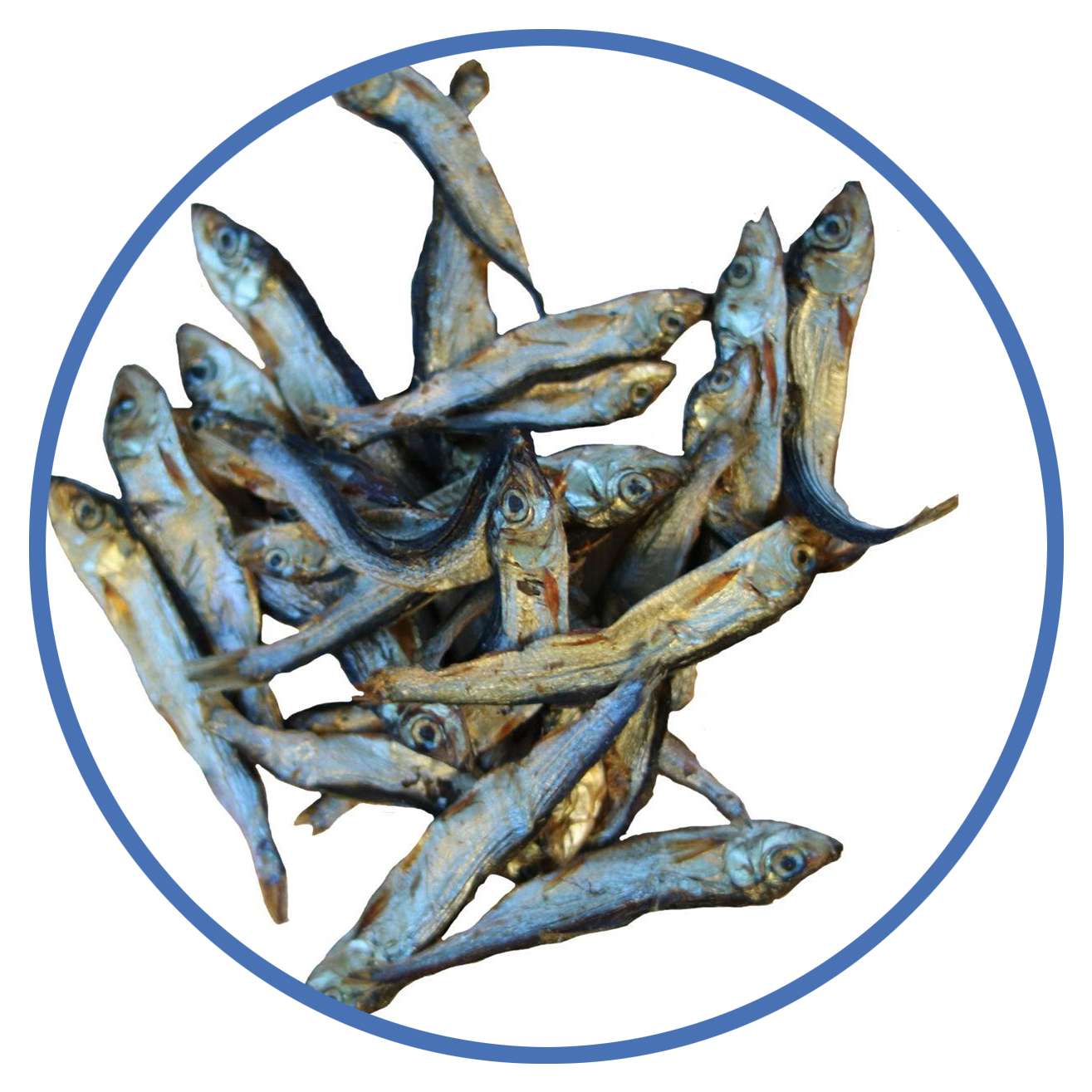 Sprotten | ca. 5-6 cm