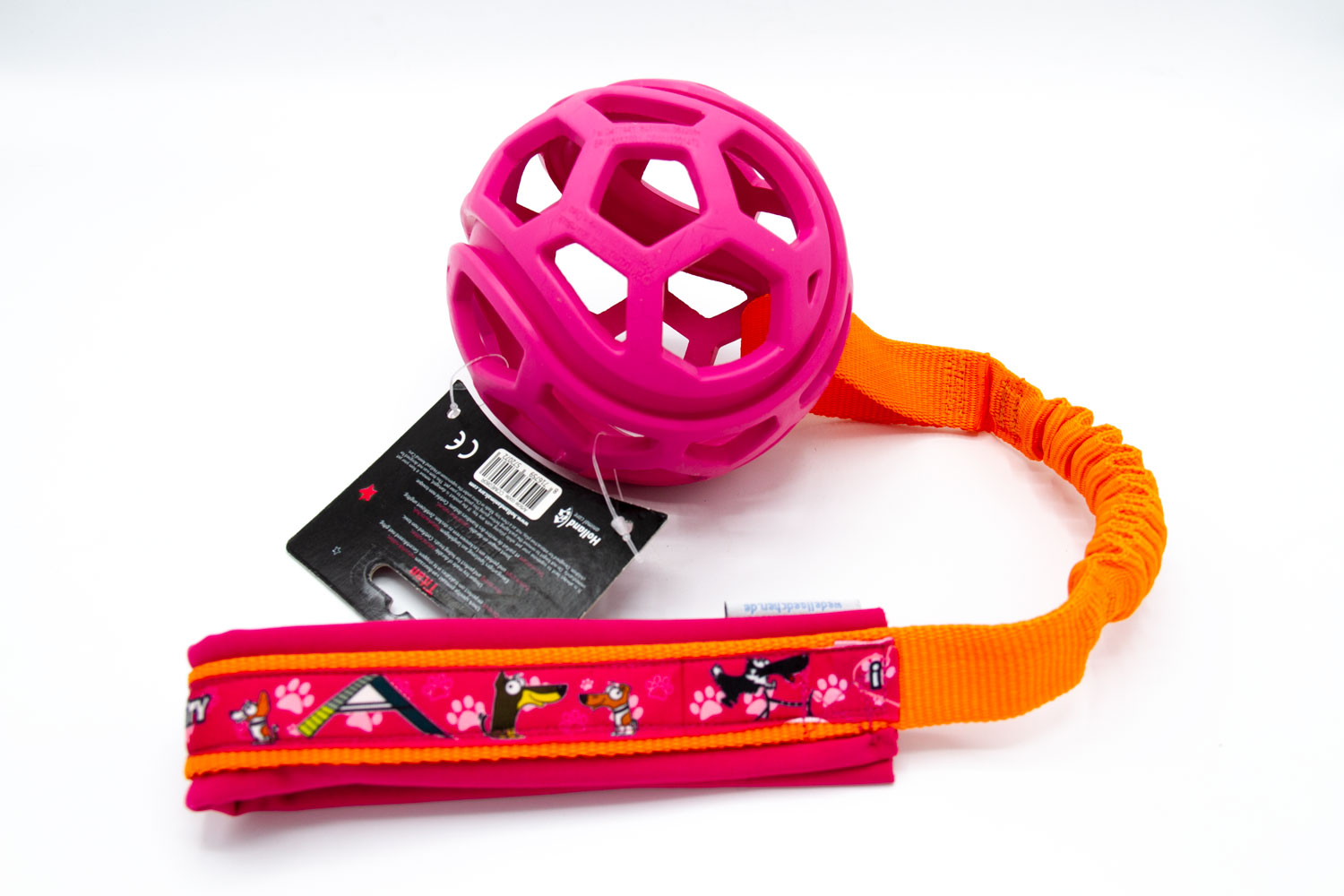 Dog Comets Titan – Bild 5