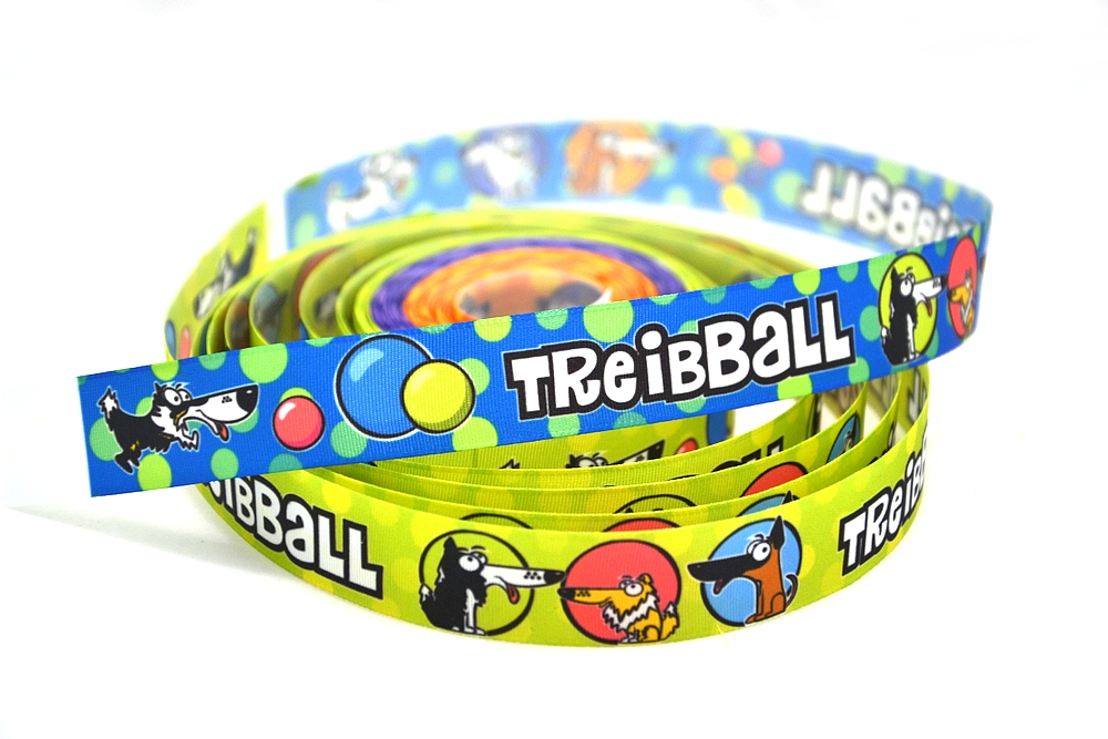 Halsband | Treibball – Bild 3