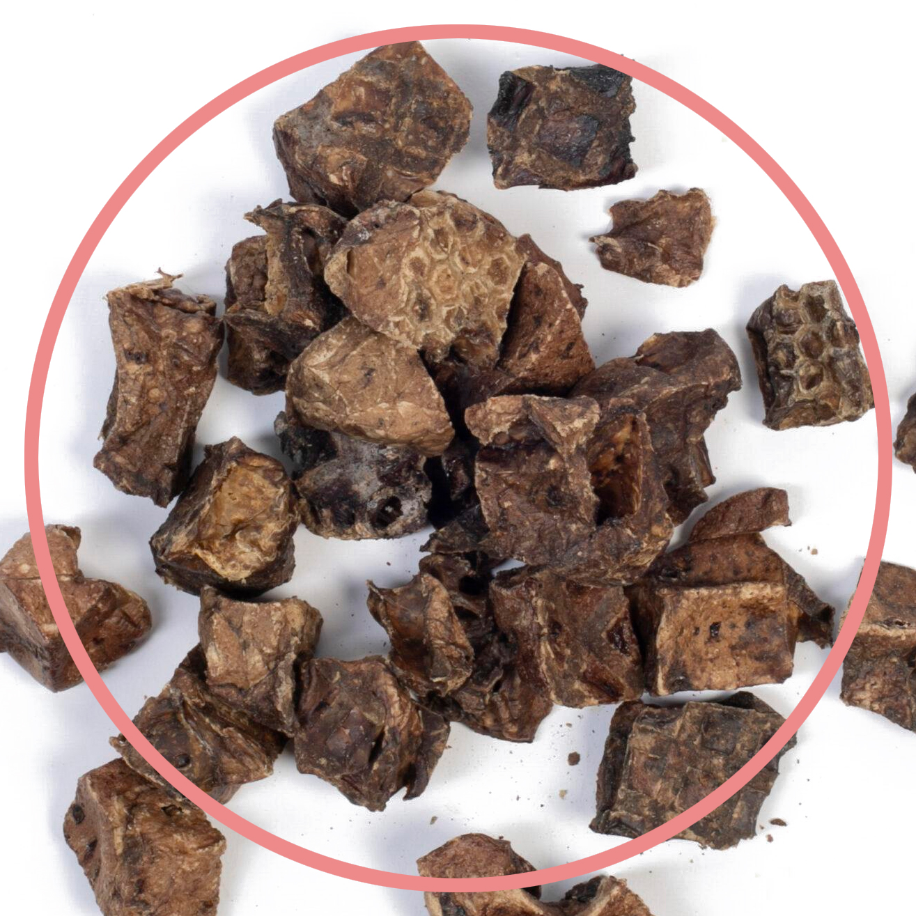 Ziegen-Lungenwürfel