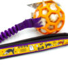 Gitterball
